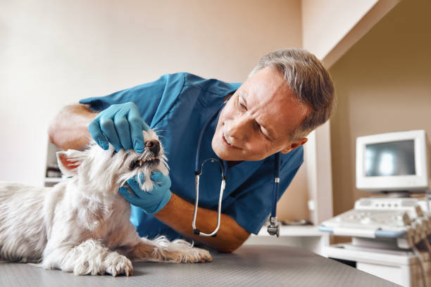 Best Walk-In Emergency Dentist in Fulton, MO